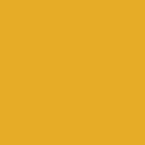 PURE SOLIDS Turmeric (Shine On + Garden of Opulence + The Softer Side + Abode) - NEW ARRIVAL