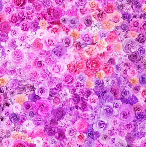 GRADIENTS PARFAIT Rainbow Roses Purple Passion - SALE $22.00 p/m