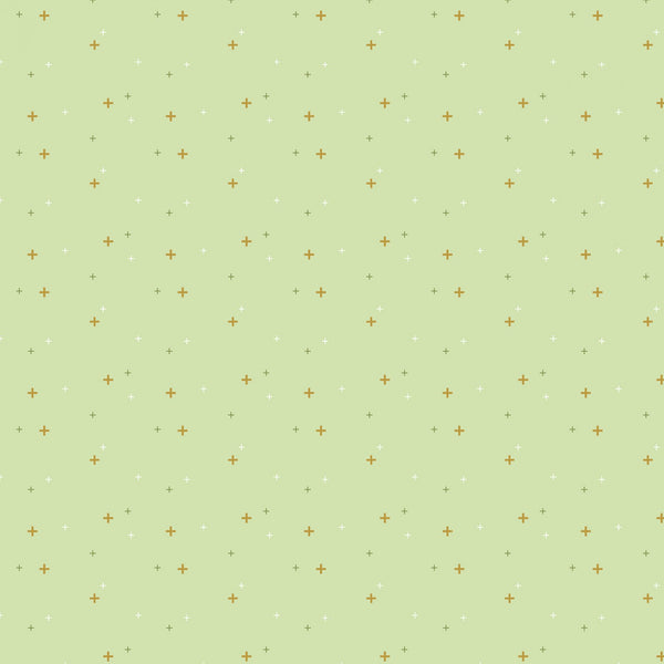SPARKLER Celery Sparkle - SALE $19.00 p/m