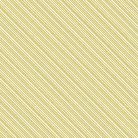 SPLENDOR Stripe Sage - SALE $13.00 P/M