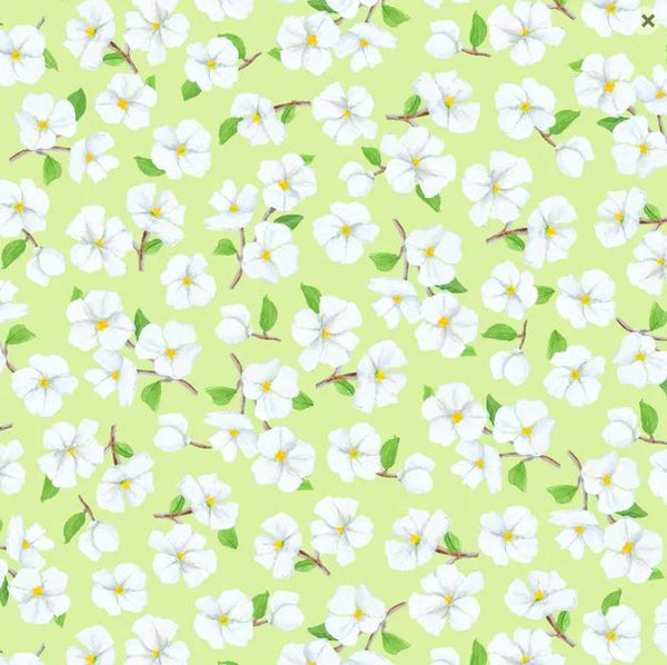 SPRING'S WINGS Blooms Soft Green -  SALE $17.00 p/m