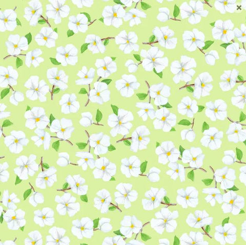 SPRING'S WINGS Blooms Soft Green -  SALE $17.00 p/m