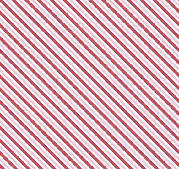 SUGAR & SPICE Stripe White - SALE $17.00 p/m