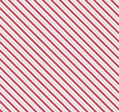 SUGAR & SPICE Stripe White - SALE $17.00 p/m