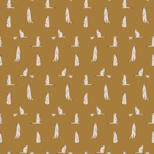 THE WATERHOLE Meerkat Gold