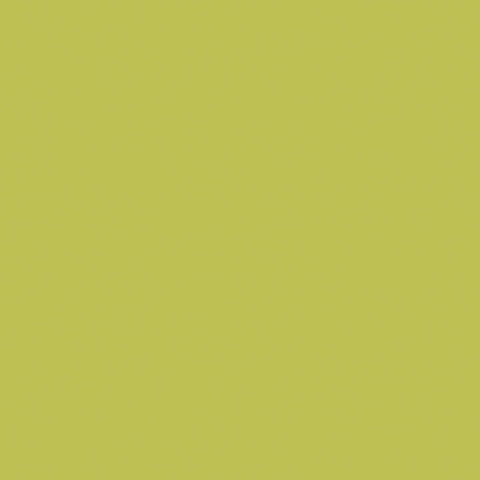 DEVONSTONE COLLECTION SOLIDS Lime Green (LazyDays Collection) - NEW ARRIVAL