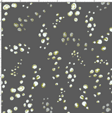 CUSTOM DIGITAL WOVEN (Cotton Poplin 140gsm) Under The Sea - Bubbles Charcoal