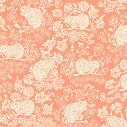 WILD FORGOTTEN KNIT Beaver & Bloom Peach - SALE $25.00 p/m
