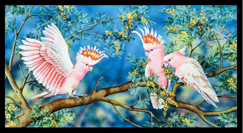 WILDLIFE ART PANELS Cockatoos - SALE $17.00 Per panel