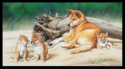 WILDLIFE ART PANELS Dingo Family - SALE $17.00 Per panel