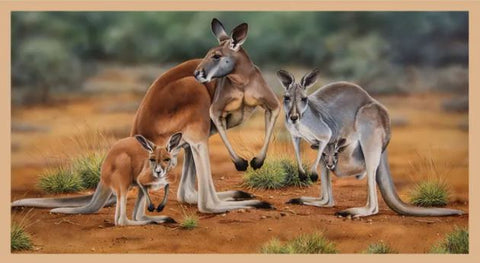 WILDLIFE ART PANELS Kangaroos - SALE $17.00 Per panel