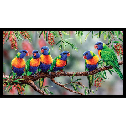 WILDLIFE ART PANELS Lorikeets - SALE $17.00 Per panel